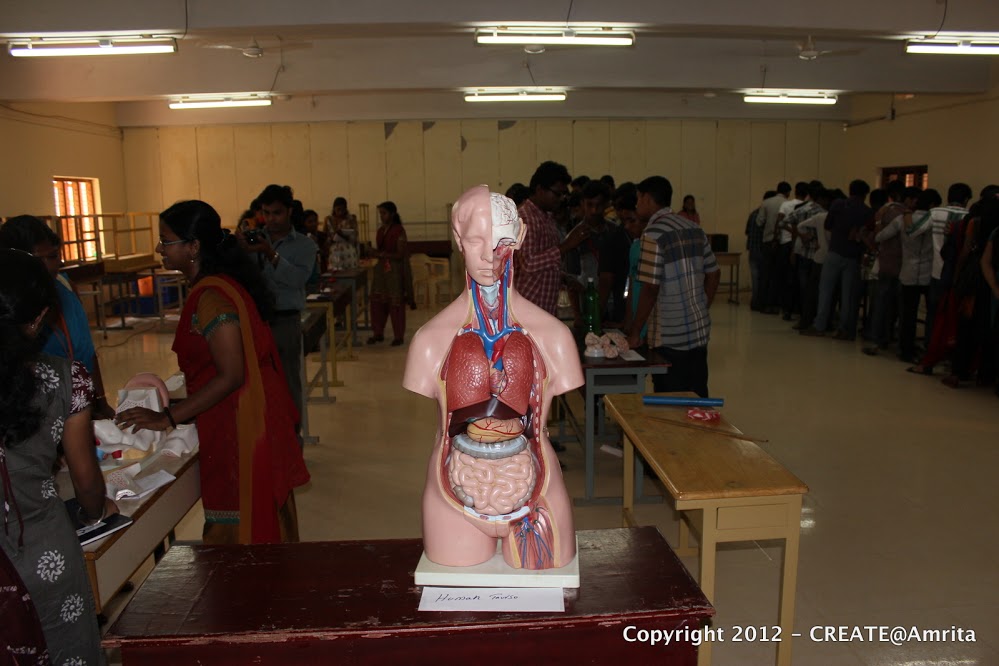 12-Students at the Agasthya Science Expo