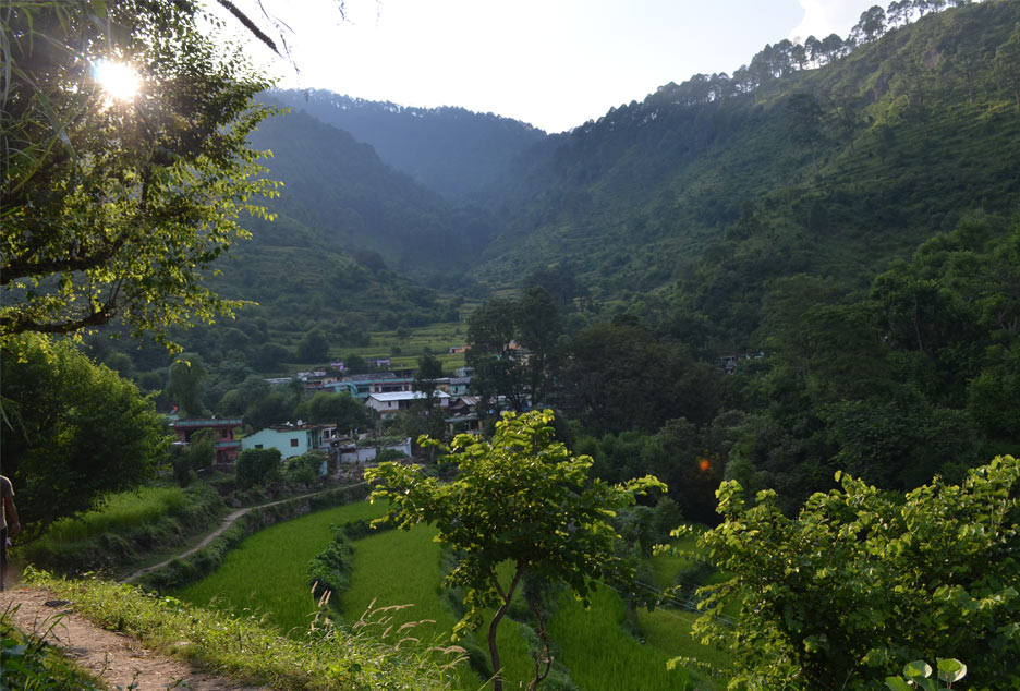 uttarakhand-village-work16