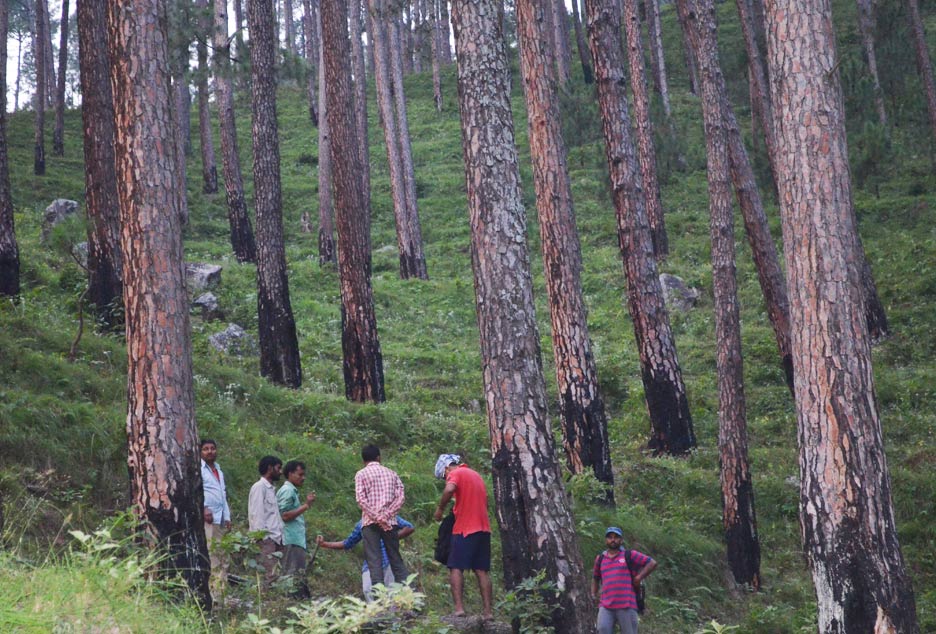 uttarakhand-village-work17