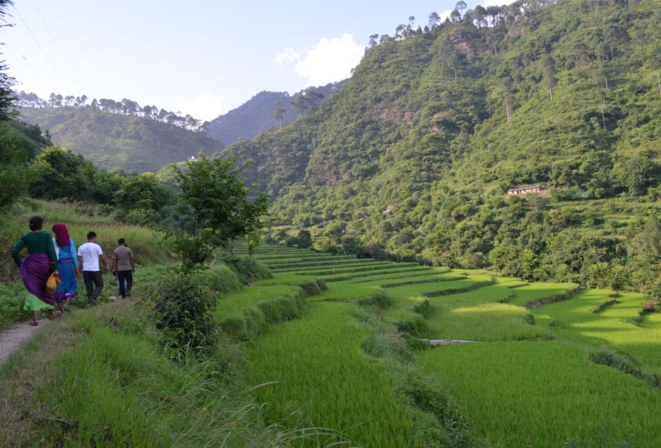 uttarakhand-village-work14