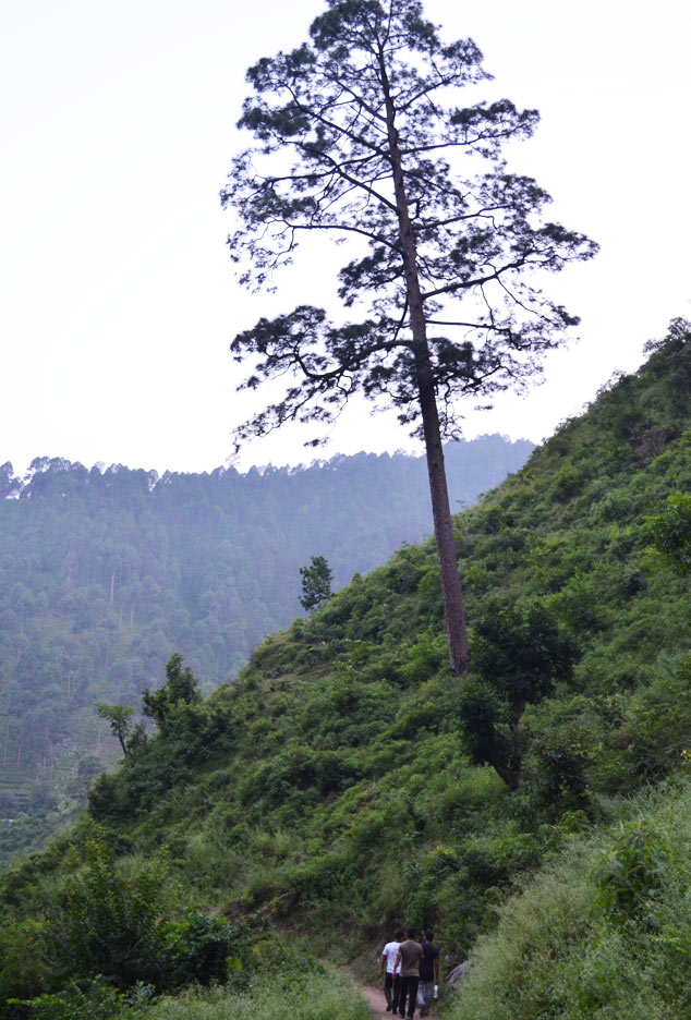 uttarakhand-village-work27