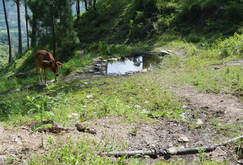 uttarakhand-village-work35