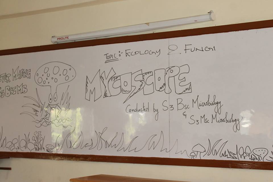 mycoscope-showcasing-the-amazing-kingdom-of-fungi1