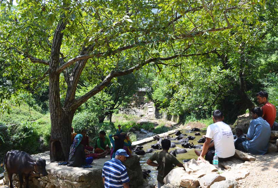 uttarakhand-village-work64