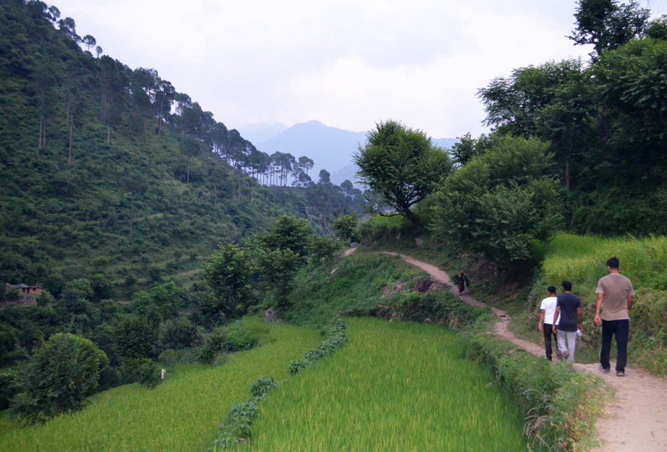 uttarakhand-village-work29