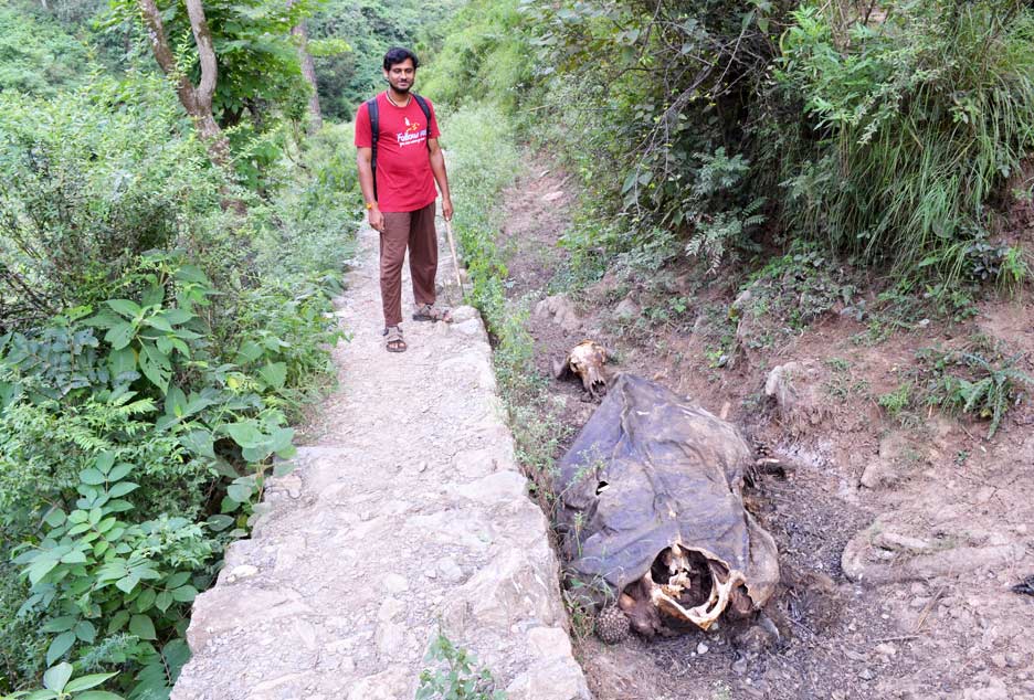 uttarakhand-village-work83
