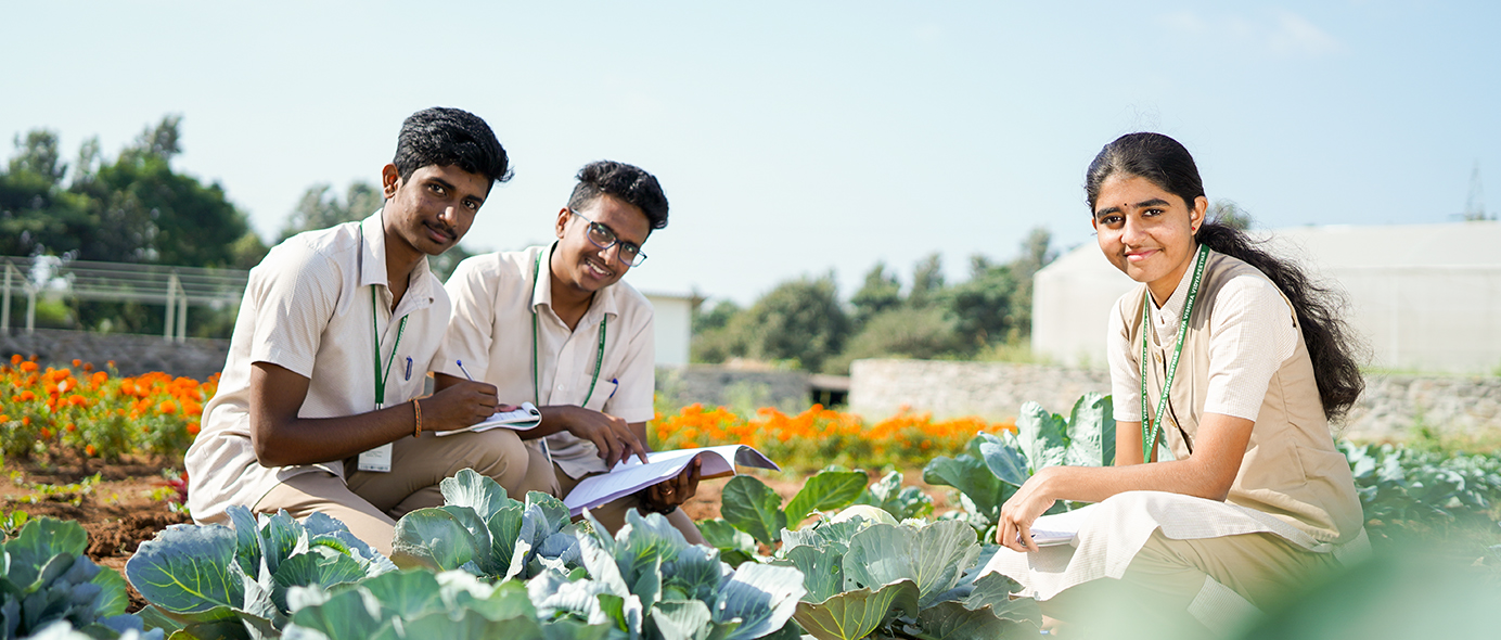 School of Agricultural Sciences