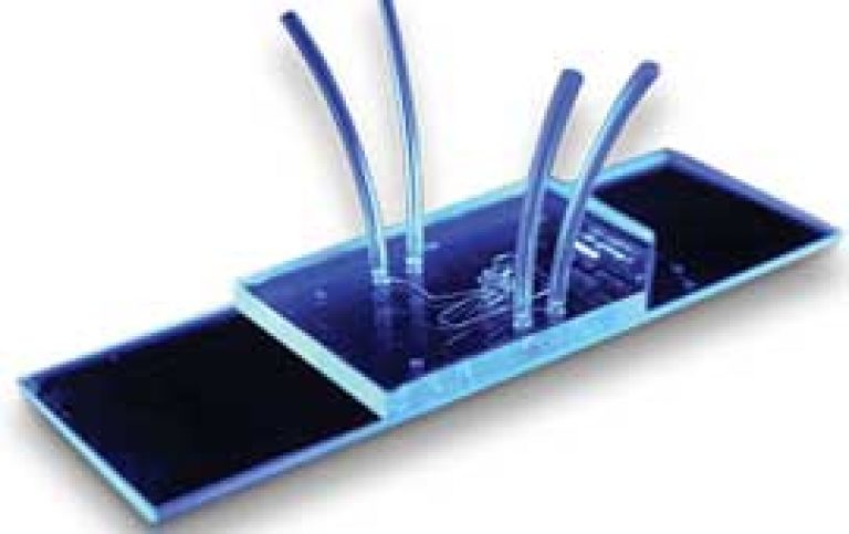 40 Plus- A Paper Based Microfluidic Chip for the Monitoring of Women ...
