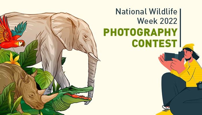 Start a Reservation visual data 3