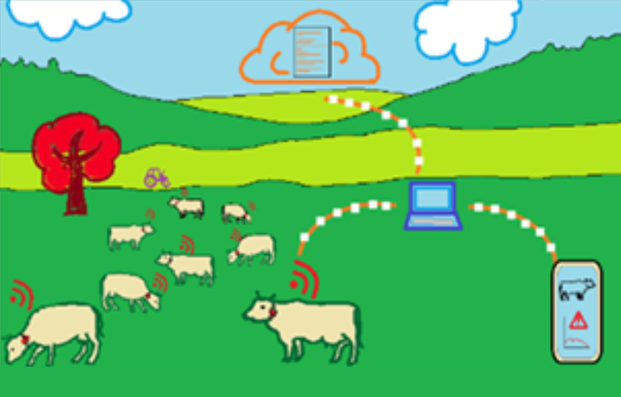 Cow-kin: Smart and Precision Animal Farming for the Health and Welfare of the Cattle