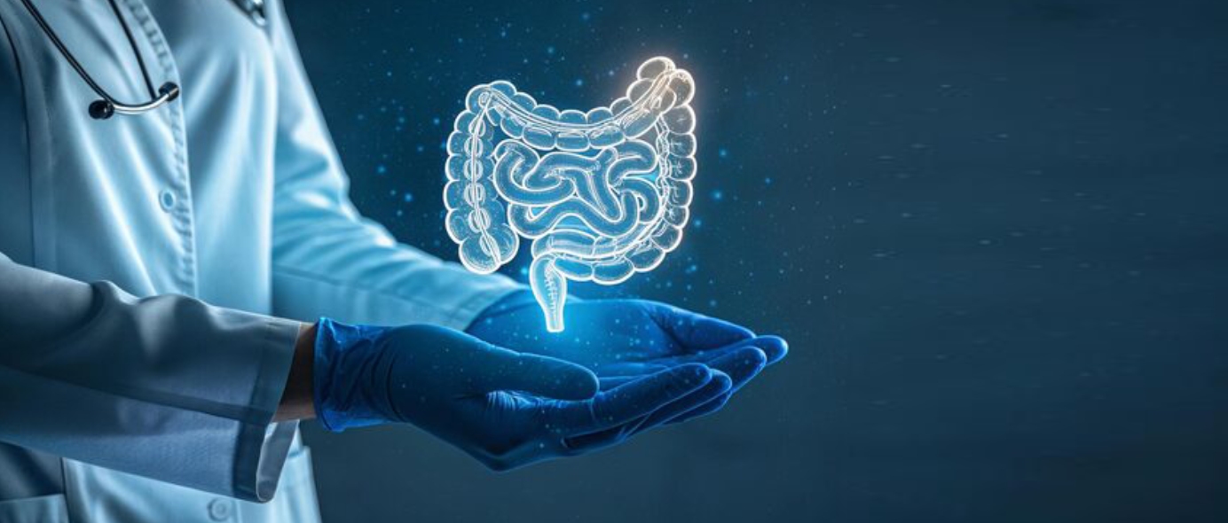 DrNB Medical Gastroenterology