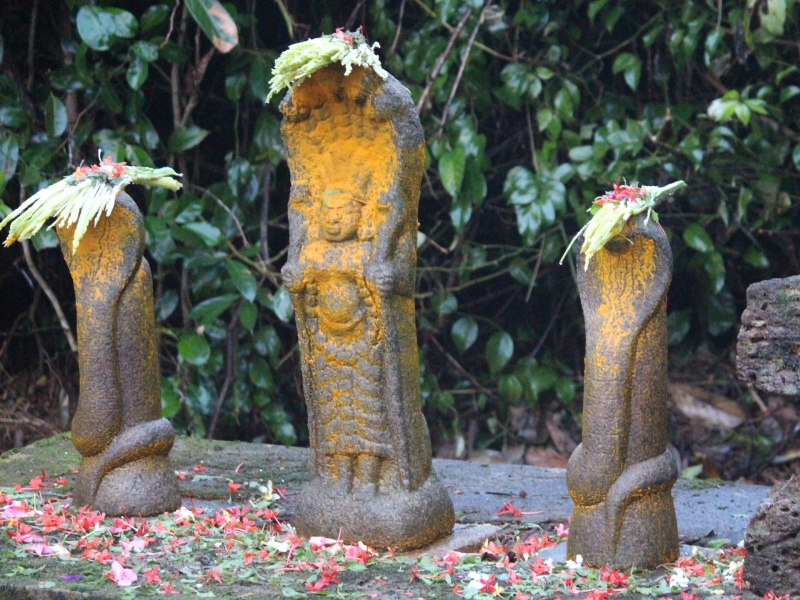 ICSRF 2025: GeoSanskriti Digital Platform to Protect Kerala’s Sacred Groves