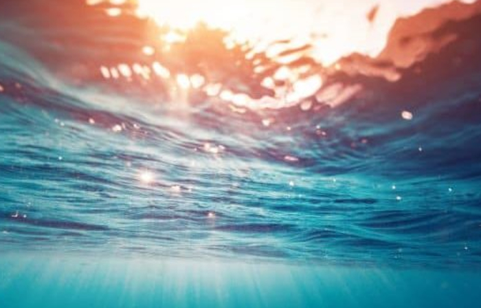 Sustainable Livelihoods in the Blue Economy