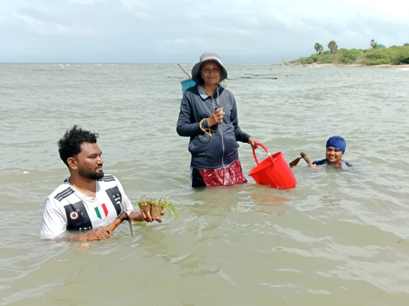 AMMACHI Labs Advances Community-Led Seagrass Restoration and Ocean Farming Across Tamil Nadu