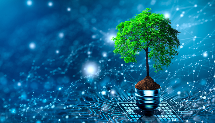 Workshop on Sustainable Energy Futures: Bridging IoT, Digital Twins & Blockchain