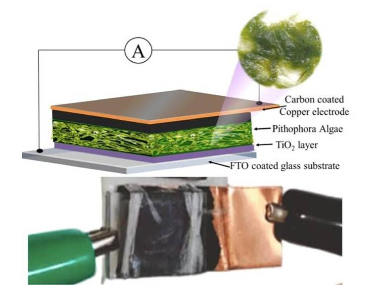 innovative-research-supporting-renewable-energy-image