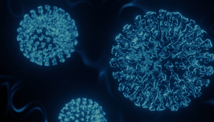 IEEE International Conference on Robotics and Mechatronics 2026