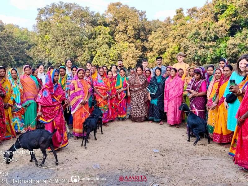 Field Visit Strengthens Research Collaboration at CWEGE WADI Project in Odisha