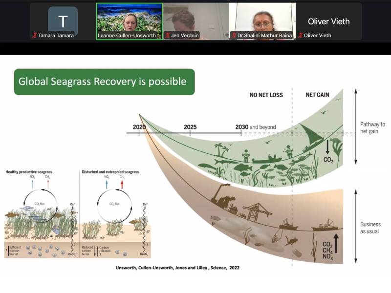 Restoring Seagrass Meadows: Innovation, Community, and Global Collaboration
