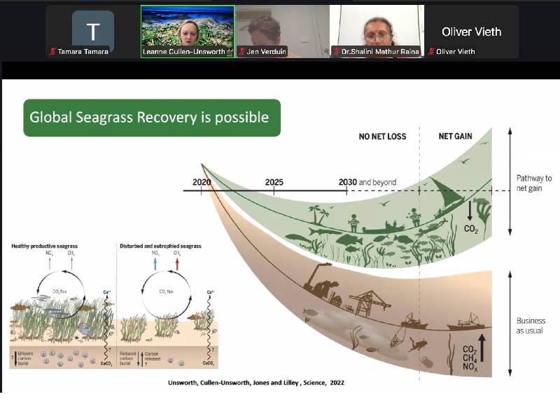 Restoring Seagrass Meadows: Innovation, Community, and Global Collaboration
