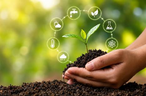 sustainable