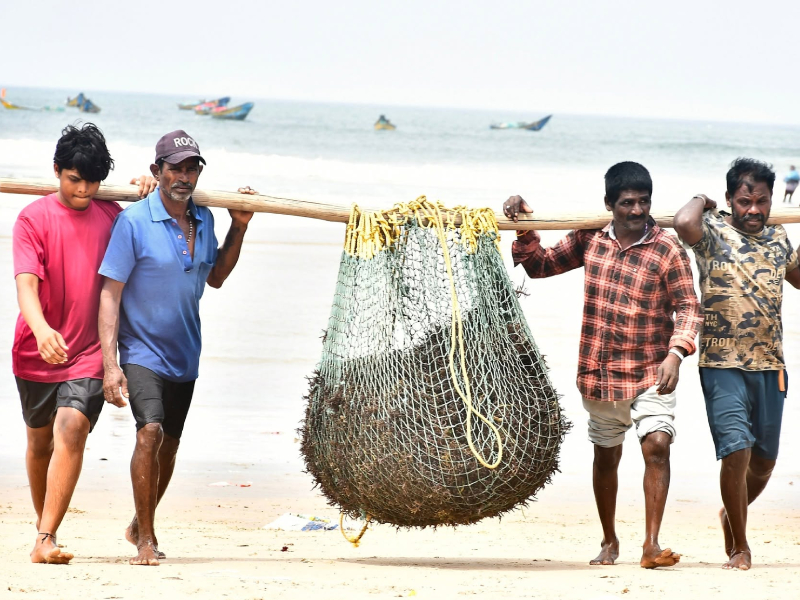 Women of Mangamaripeta Celebrate First Seaweed Harvest Under Neelamritam Project