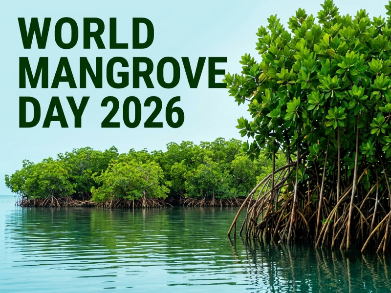 Advancing Coastal Resilience: AMMACHI Labs Highlights the Importance of Mangroves, Seagrasses and Coral Reefs